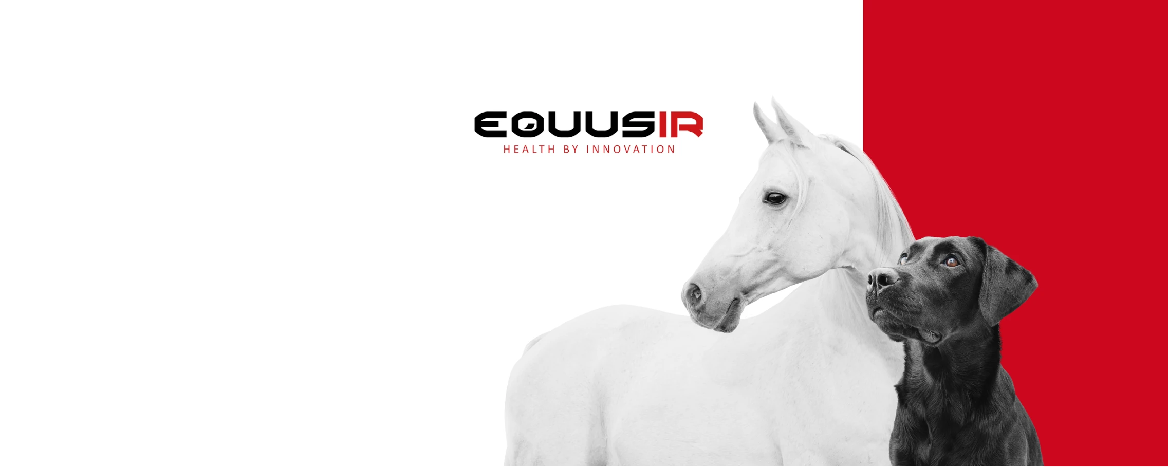 equusir.webp
