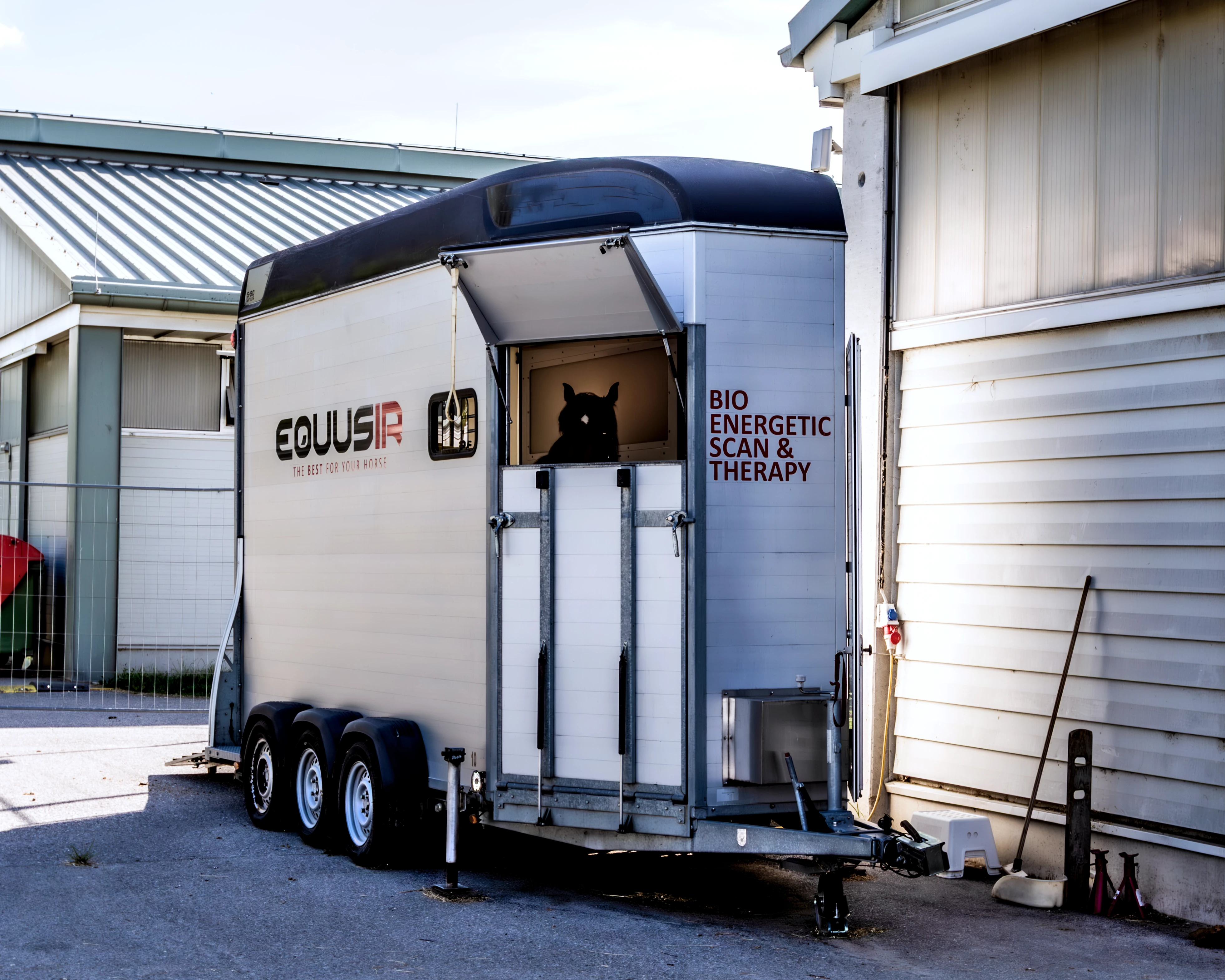 equusir Box.webp