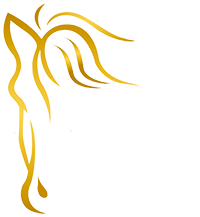 BEST for HORSE