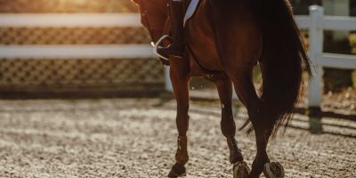 Einstellbetrieb-AdobeStock_283578887-w3